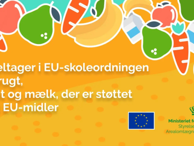 EU-ordning banner